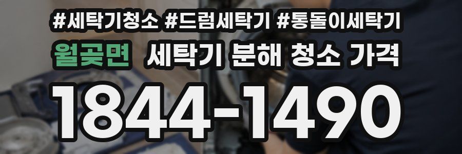 월곶면 세탁기 분해 청소 가격