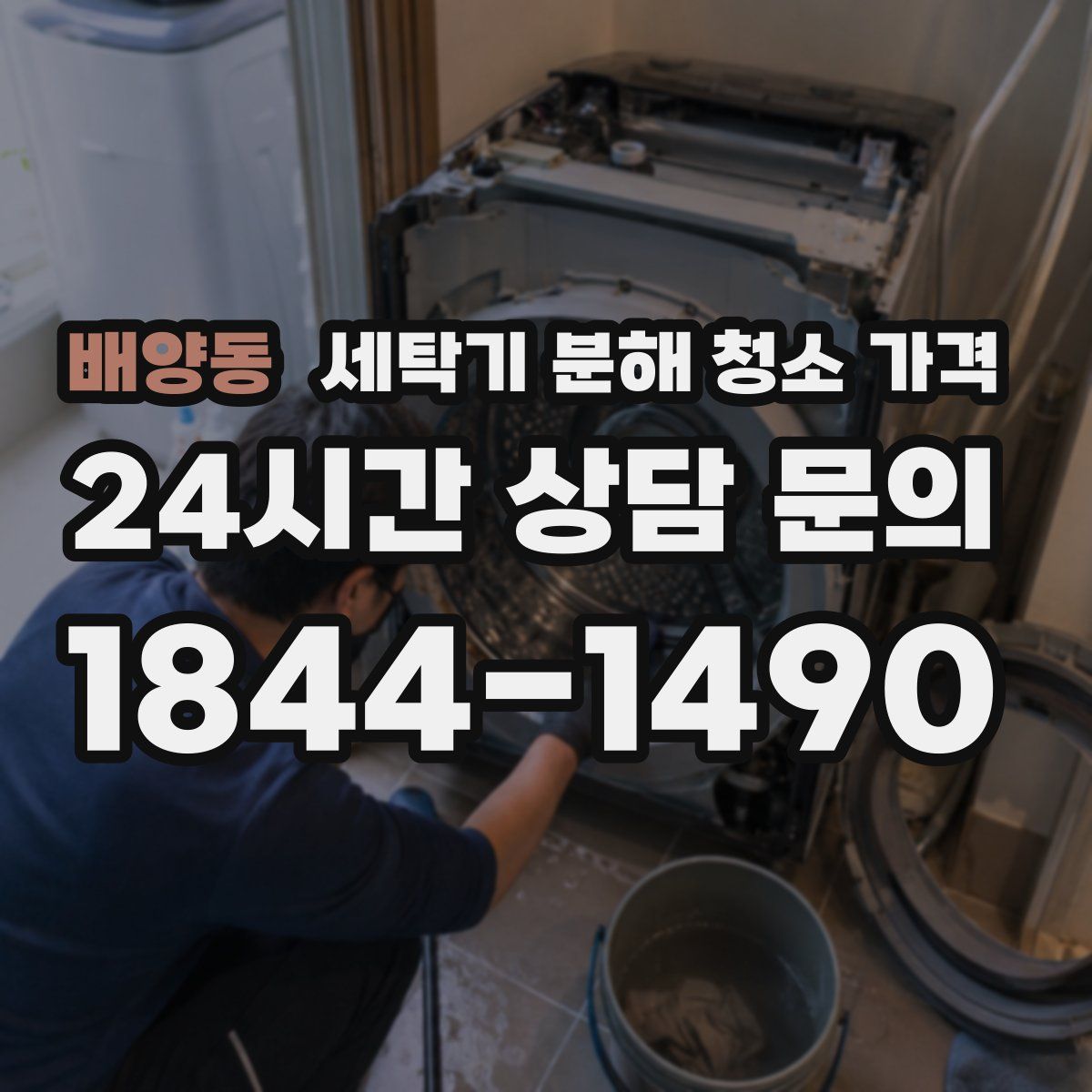 배양동 세탁기 분해 청소 가격