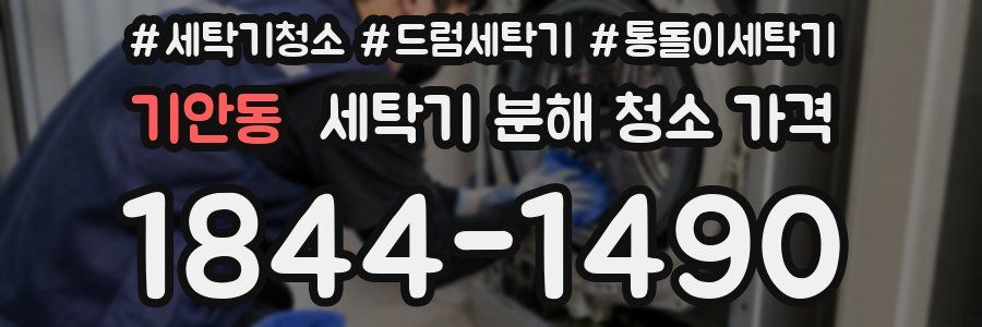 기안동 세탁기 분해 청소 가격