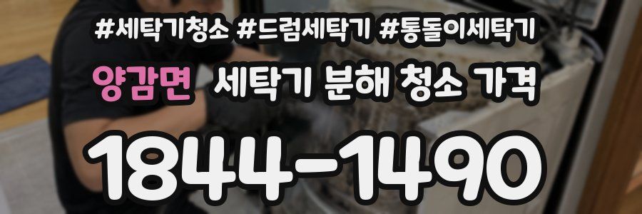 양감면 세탁기 분해 청소 가격