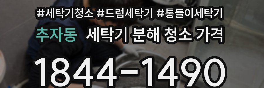 추자동 세탁기 분해 청소 가격