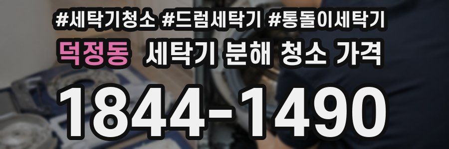 덕정동 세탁기 분해 청소 가격