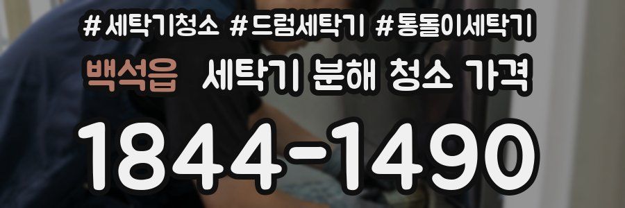 백석읍 세탁기 분해 청소 가격