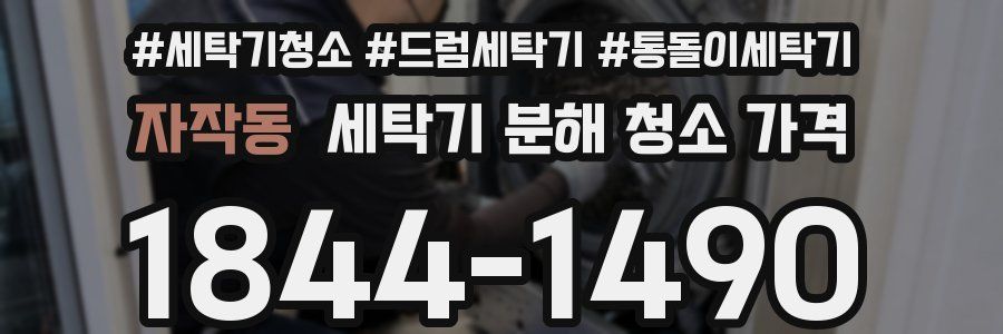 자작동 세탁기 분해 청소 가격