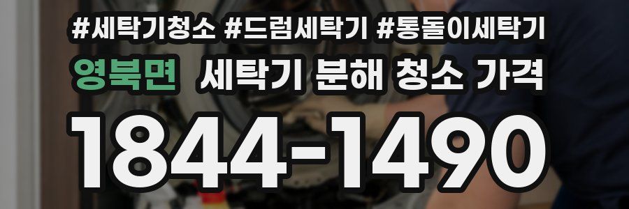 영북면 세탁기 분해 청소 가격