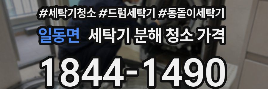 일동면 세탁기 분해 청소 가격