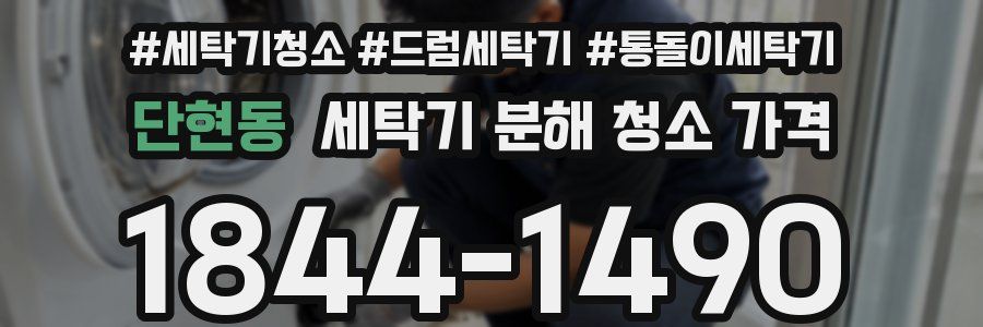 단현동 세탁기 분해 청소 가격