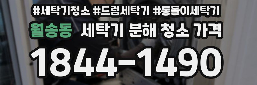 월송동 세탁기 분해 청소 가격