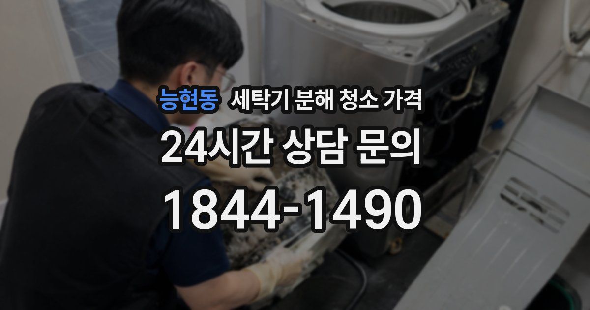 능현동 세탁기 분해 청소 가격