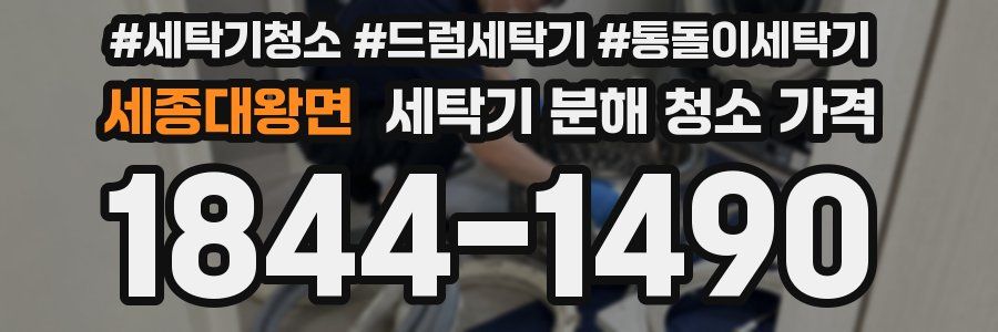 세종대왕면 세탁기 분해 청소 가격