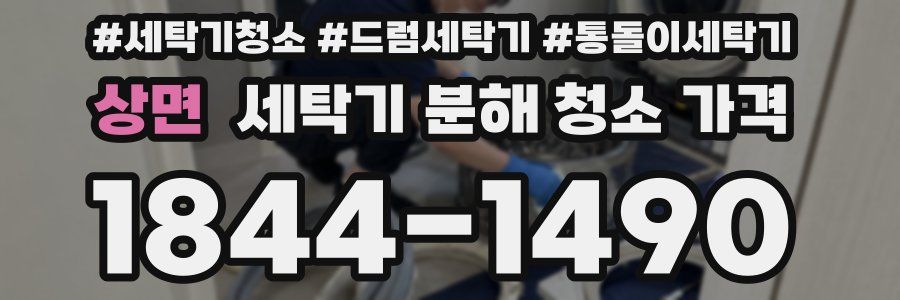 상면 세탁기 분해 청소 가격