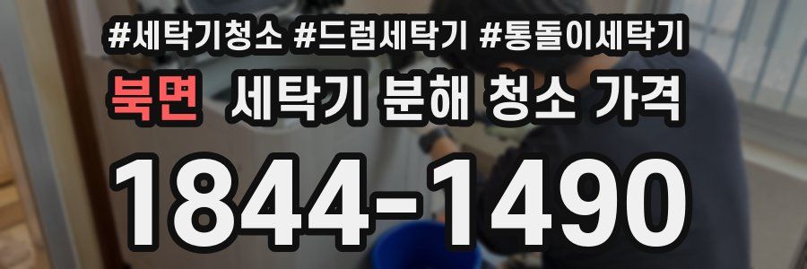 북면 세탁기 분해 청소 가격