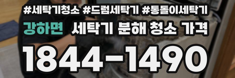 강하면 세탁기 분해 청소 가격