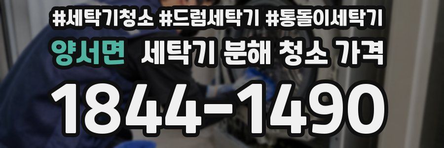 양서면 세탁기 분해 청소 가격