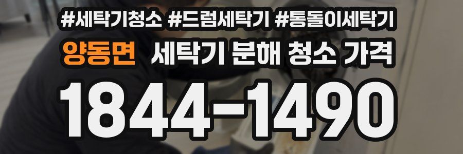 양동면 세탁기 분해 청소 가격