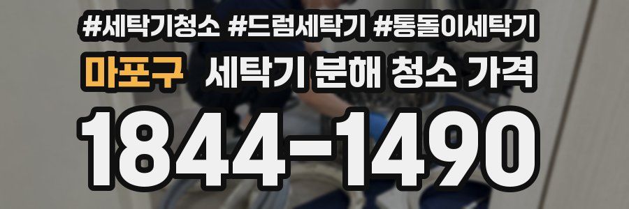 마포구 세탁기 분해 청소 가격