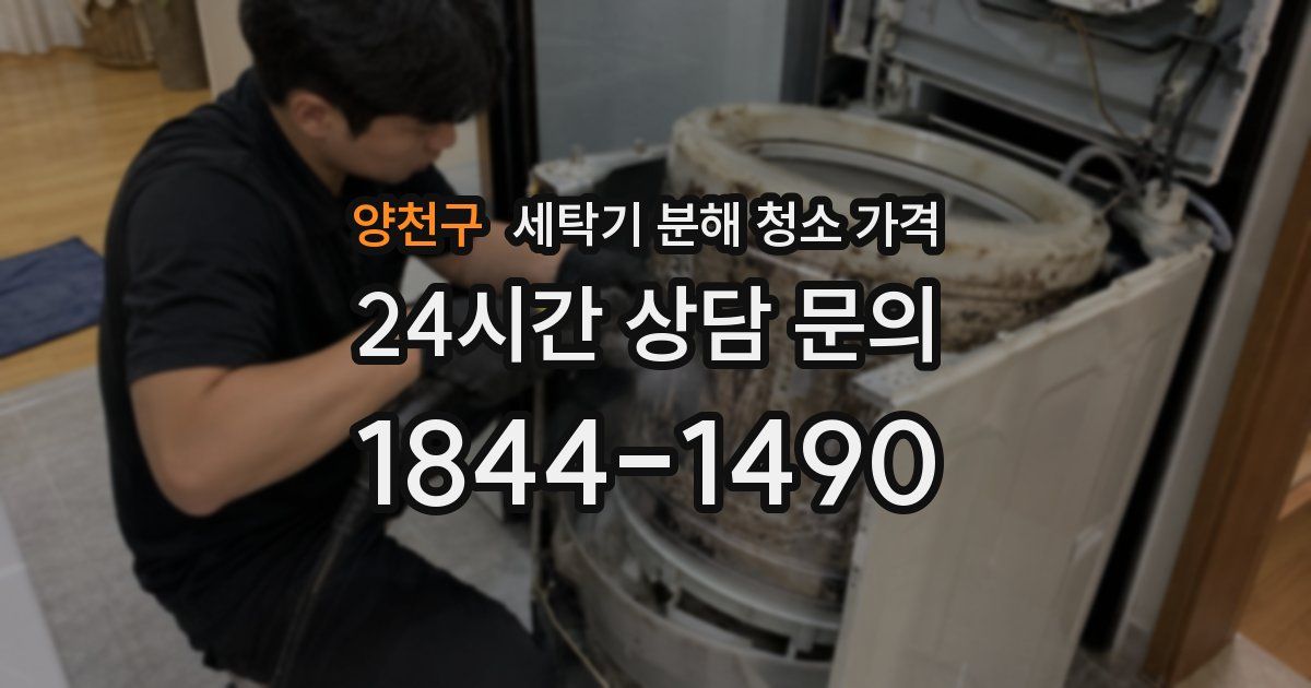 양천구 세탁기 분해 청소 가격