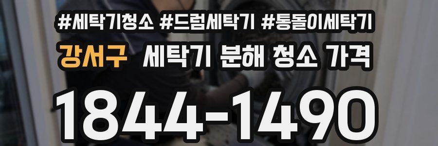 강서구 세탁기 분해 청소 가격