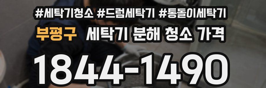 부평구 세탁기 분해 청소 가격