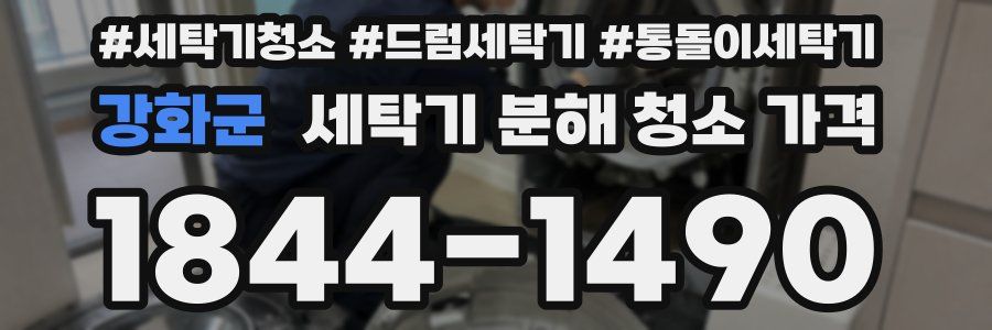 강화군 세탁기 분해 청소 가격