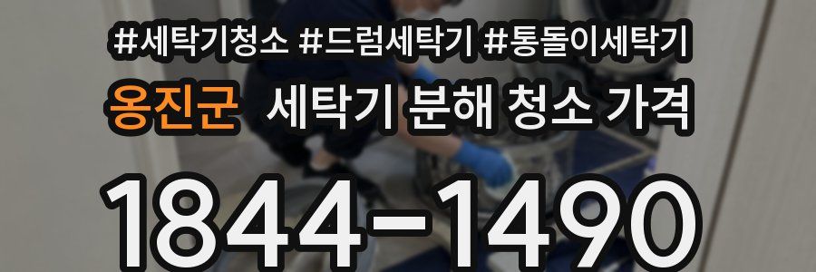 옹진군 세탁기 분해 청소 가격