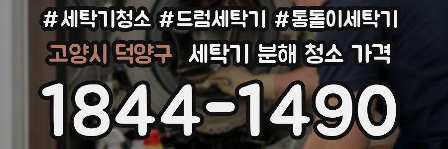 고양시 덕양구 세탁기 분해 청소 가격