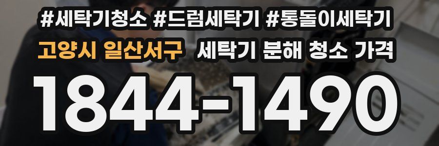 고양시 일산서구 세탁기 분해 청소 가격