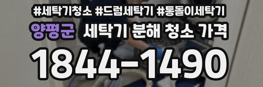 양평군 세탁기 분해 청소 가격