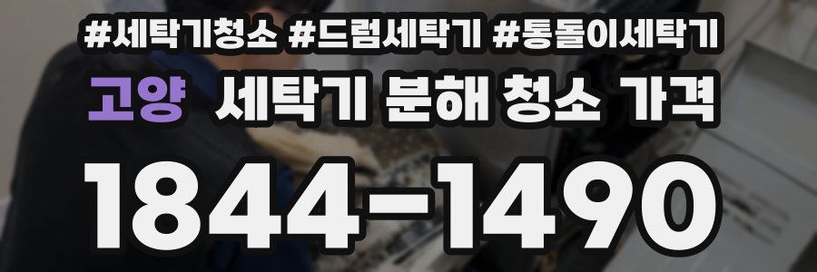 고양 세탁기 분해 청소 가격