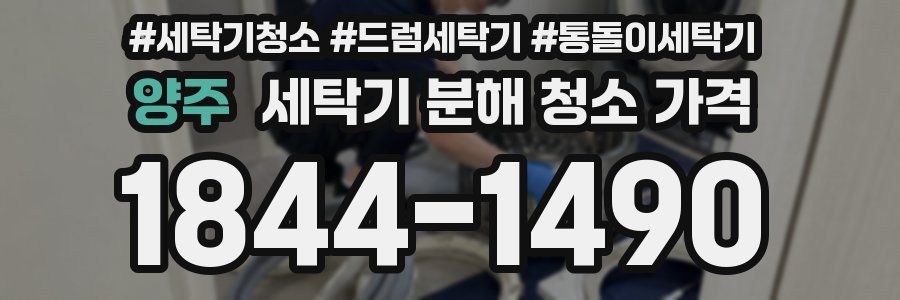 양주 세탁기 분해 청소 가격