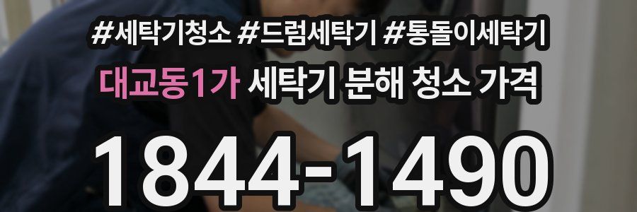 대교동1가 세탁기 분해 청소 가격