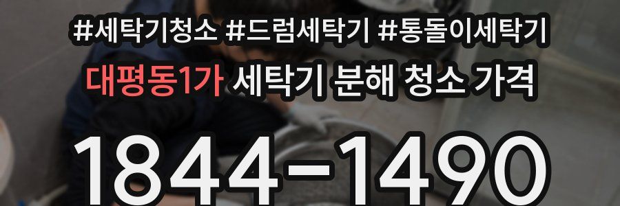 대평동1가 세탁기 분해 청소 가격