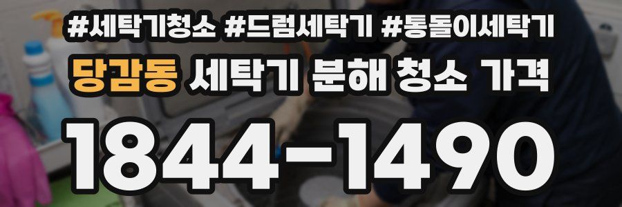 당감동 세탁기 분해 청소 가격
