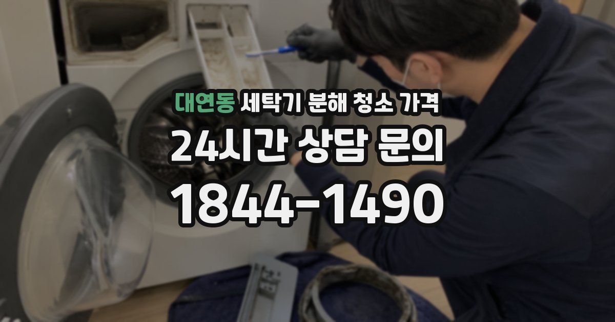 대연동 세탁기 분해 청소 가격