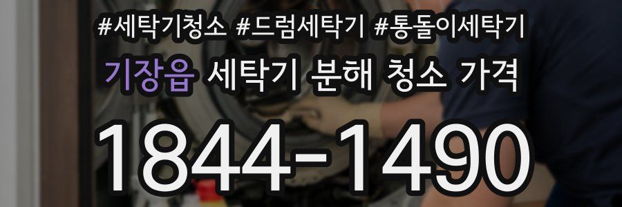 기장읍 세탁기 분해 청소 가격