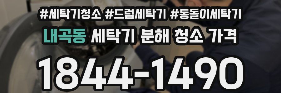 내곡동 세탁기 분해 청소 가격