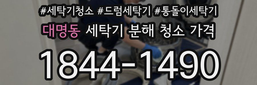 대명동 세탁기 분해 청소 가격