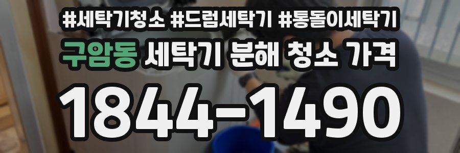 구암동 세탁기 분해 청소 가격