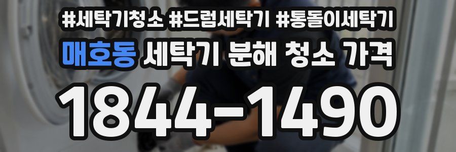 매호동 세탁기 분해 청소 가격
