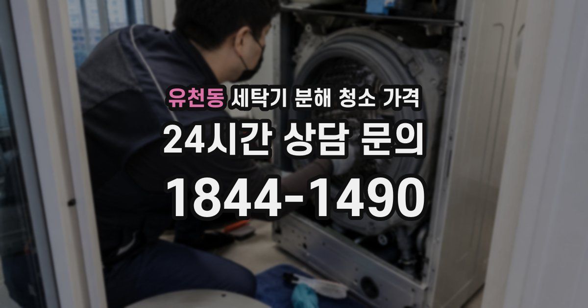 유천동 세탁기 분해 청소 가격
