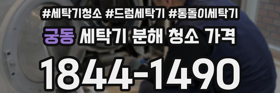 궁동 세탁기 분해 청소 가격