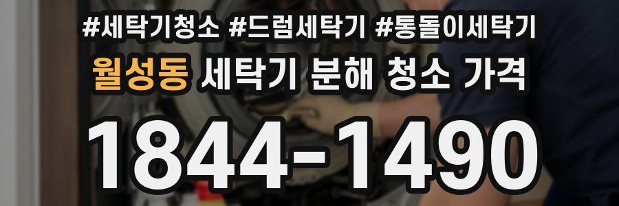 월성동 세탁기 분해 청소 가격
