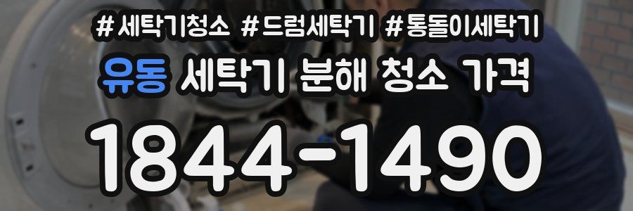 유동 세탁기 분해 청소 가격