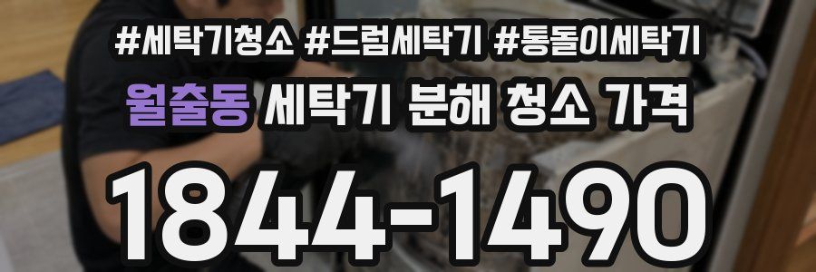 월출동 세탁기 분해 청소 가격