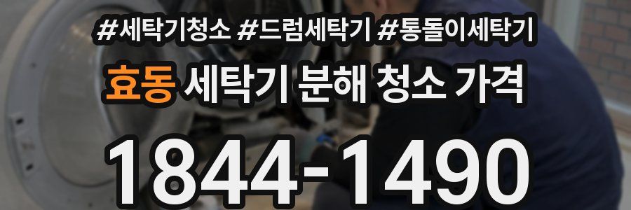 효동 세탁기 분해 청소 가격