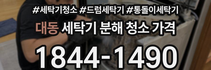 대동 세탁기 분해 청소 가격