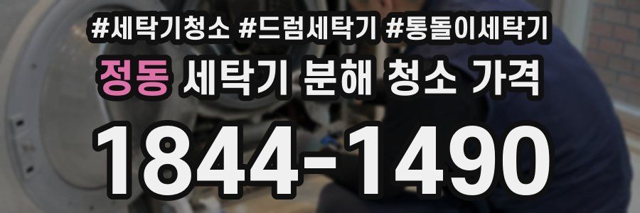 정동 세탁기 분해 청소 가격