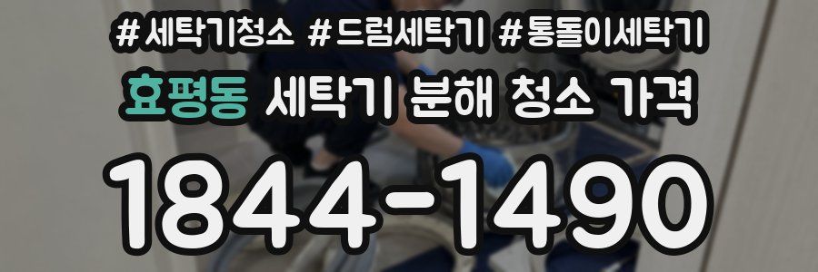 효평동 세탁기 분해 청소 가격
