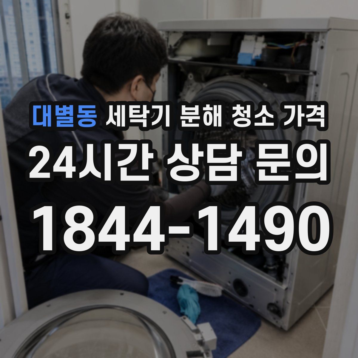 대별동 세탁기 분해 청소 가격