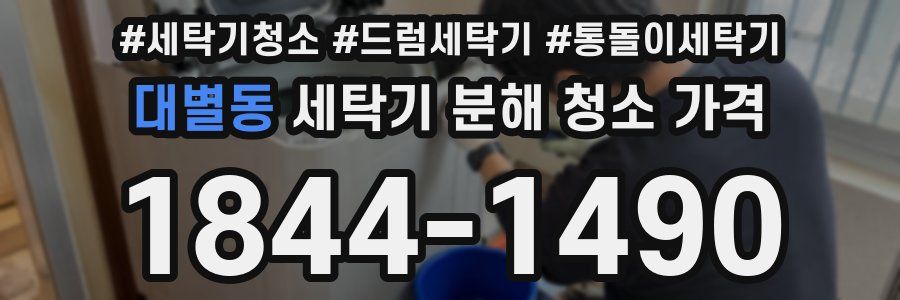 대별동 세탁기 분해 청소 가격
